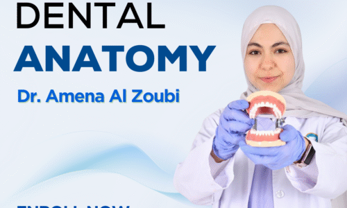 Dental Anatomy