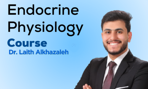 Endocrine Physiology